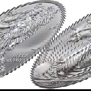 2015 Silver American Eagle $1 Coin NGC MS70 Uncirculated: 2015 Silver American Eagle $1 Coin NGC MS70 Uncirculated This 2015 Silver American Eagle $1 coin is certified by NGC as MS70, indicating it is in perfect condition and uncirculated. Struck from high-q