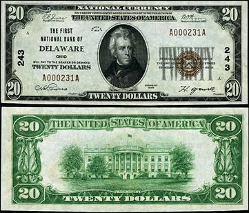 1929 T-1 $20 National Bank Note First National Bank Delaware Ohio Choice Uncirculated: 1929 T-1 $20 National Bank Note First National Bank Delaware Ohio Choice Uncirculated This $20 National Bank Note from 1929, issued by the First National Bank in Delaware, Ohio, is graded as Choice Un