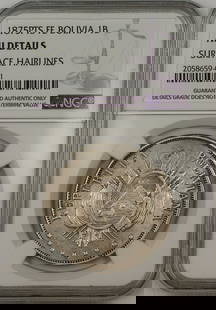 1875 Bolivia 1B Boliviano Silver Coin NGC AU Details: 1875 Bolivia 1B Boliviano Silver Coin NGC AU Details This 1875-PTS FE Bolivia 1B Boliviano Silver Coin is a remarkable piece of numismatic history. Certified by NGC with an AU Details grade, this coin