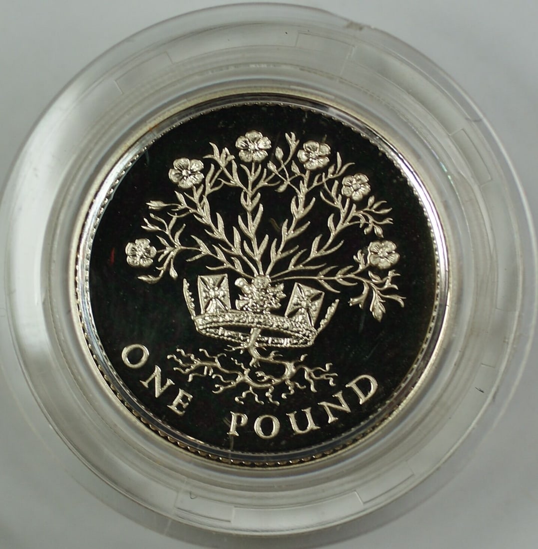 1986 UK Silver Proof Piedfort One Pound Coin Flax Plant with COA: 1986 UK Silver Proof Piedfort One Pound Coin Flax Plant with COA This 1986 United Kingdom Silver Proof Piedfort One Pound Coin features the Flax Plant design, showcasing its unique artistry. It is in