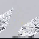 Loose Diamond - OTHER 1.0ct E VS1