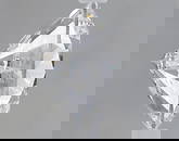Loose Diamond - ROUND 2.51ct D VVS2