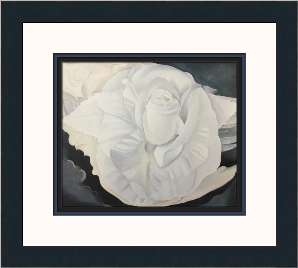 Roses Mexico/モドッティ/ポスター Tina Modotti. Roses, Mexico. 1924 | MoMA