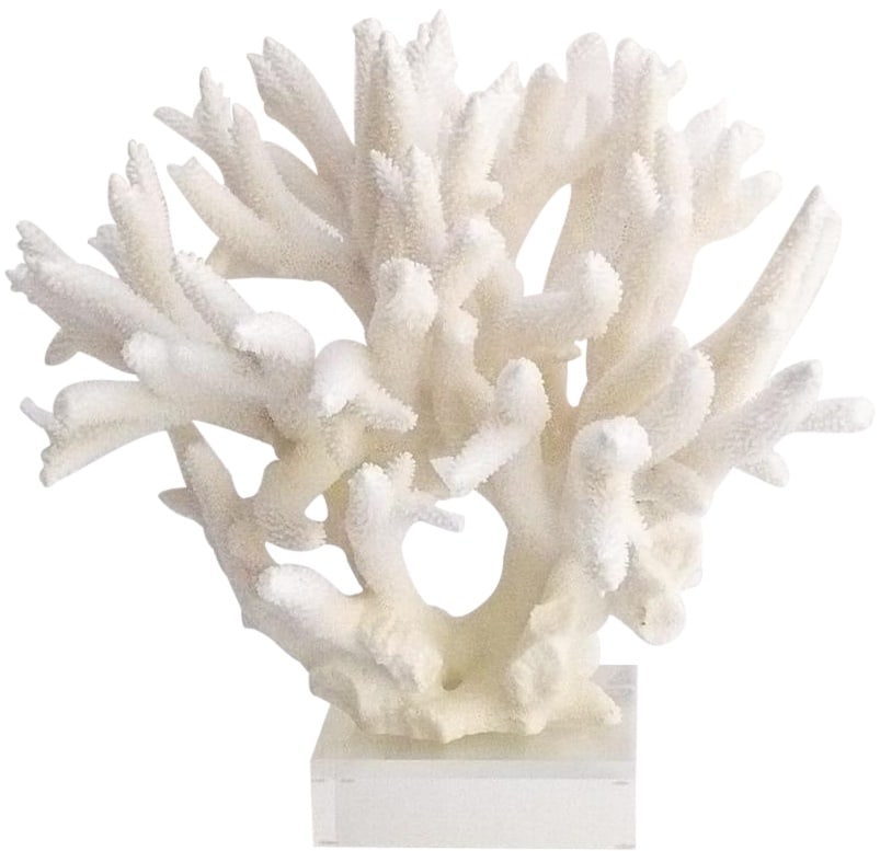 Handmade Coastal Staghorn Coral Sculpture: Handmade Coastal Staghorn Coral Sculpture Discover the beauty of coastal decor with this Traditional Coastal Staghorn Coral Art. This stunning extra-large sculpture showcases a decorative white coral 