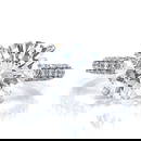 18K White Gold GIA Certified 3.02 Ct Diamond Ring E VS1