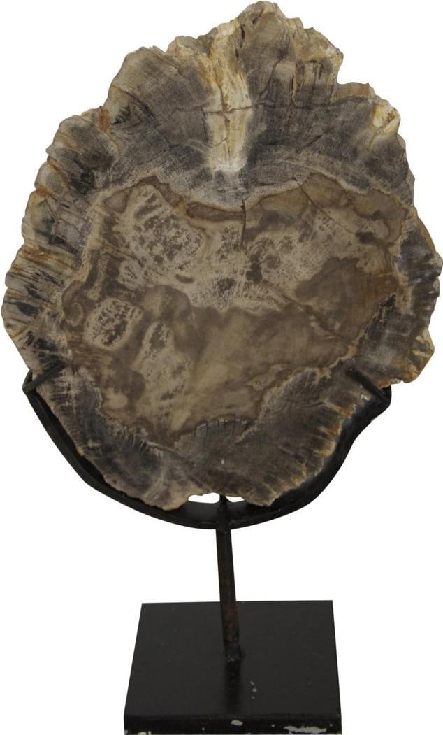 Elegant 8 Inch Wood Fossil on Matte Black Steel Stand: Elegant 8 Inch Wood Fossil on Matte Black Steel Stand This elegant 8-inch wood fossil sculpture is a striking addition to any decor. Supported by a matte black base, it features a unique wood fossil t