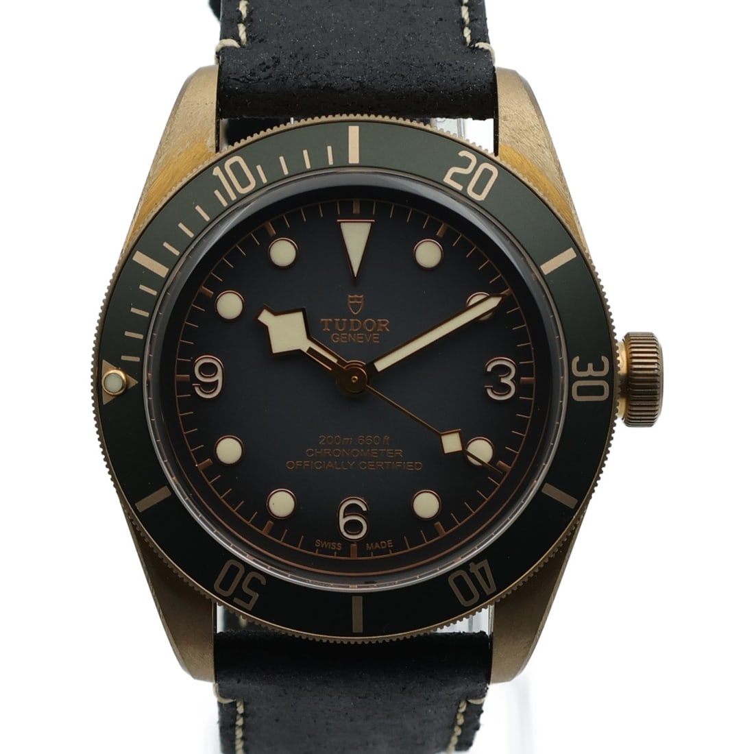 TUDOR Black Bay 79250BA Automatic Waterproof Watch with Leather Band (1 of 18)