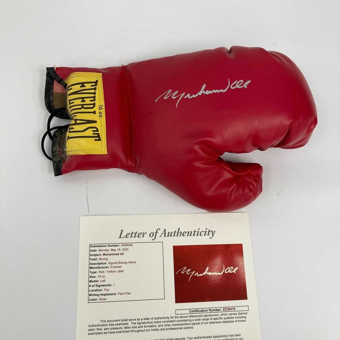 Muhammad Ali Everlast Boxing Glove Signed Silver Ink JSA Authenticated: Muhammad Ali Everlast Boxing Glove Signed Silver Ink JSA Authenticated This Muhammad Ali signed Everlast boxing glove features a striking silver ink signature, perfect for any boxing memorabilia colle