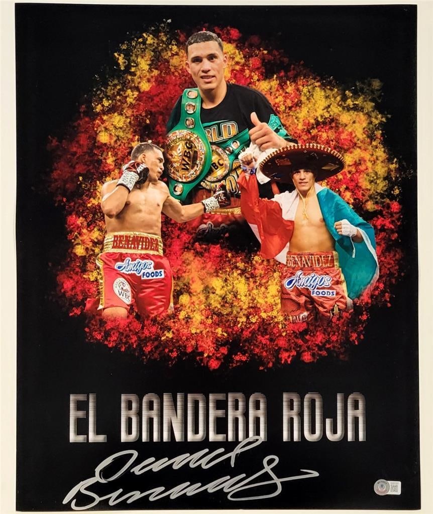 David Benavidez Signed 16x20 Boxing Photo Authenticated by Beckett BAS: David Benavidez Signed 16x20 Boxing Photo Authenticated by Beckett BAS This is an original 16x20 photo of David Benavidez, a professional boxer, featuring his authentic signature. The autograph has be