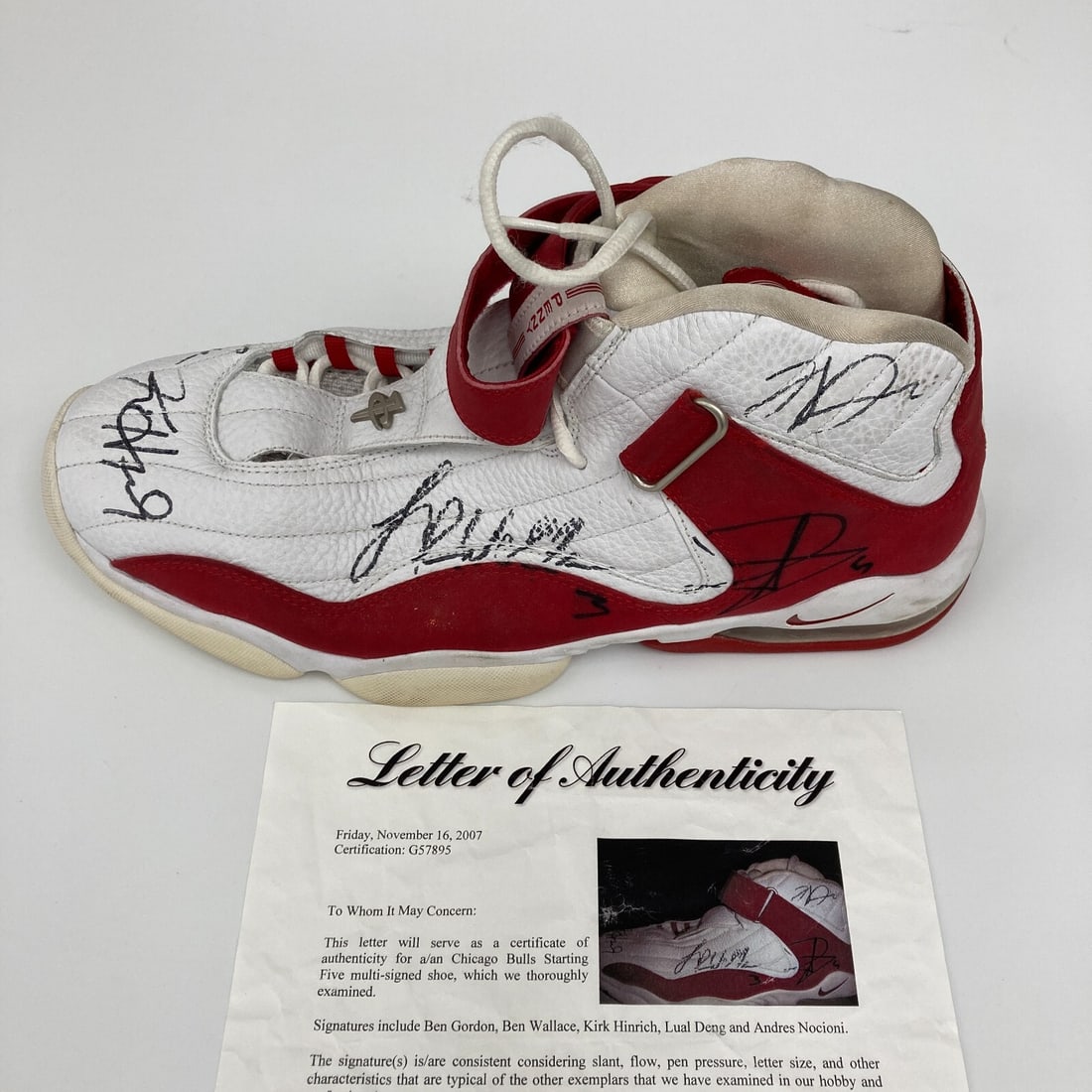 2007-08 Chicago Bulls Signed Nike Air Max Penny 4 Sneaker PSA Authenticated (1 of 8)