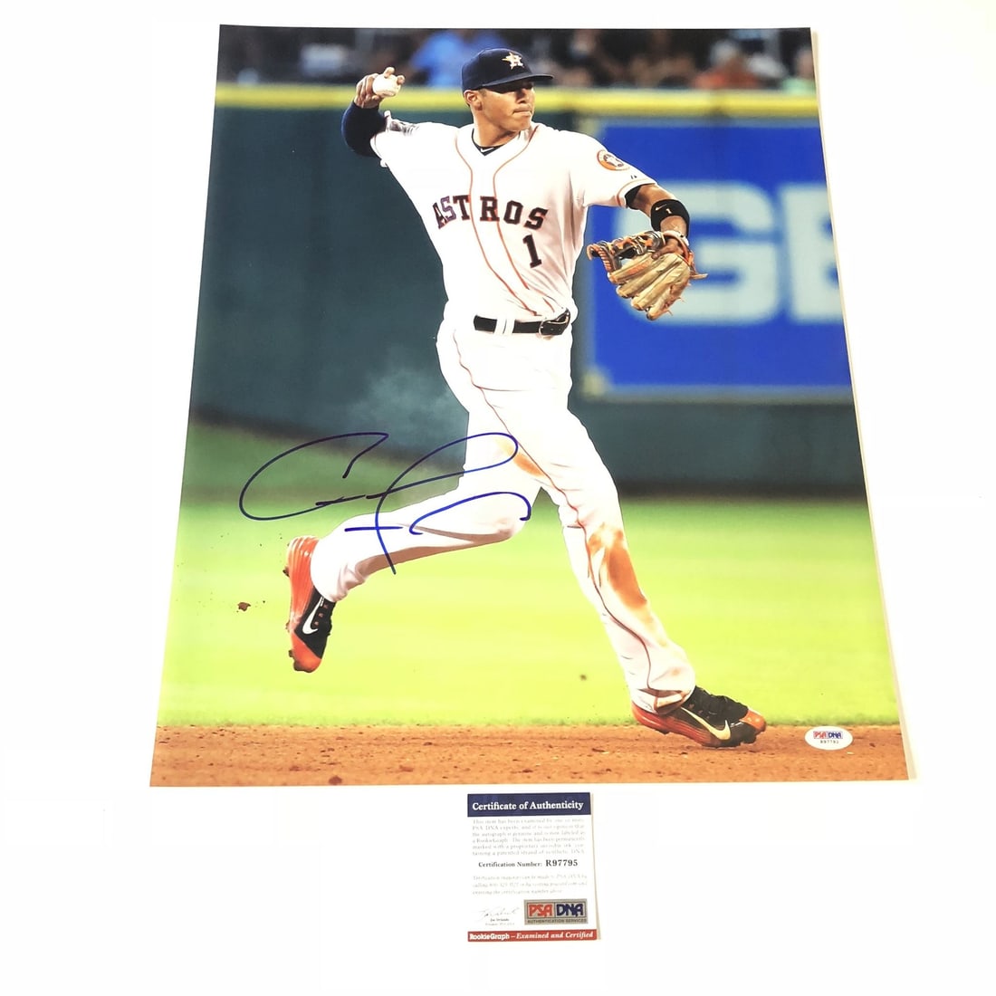 Carlos Correa Autographed 16x20 Photo PSA/DNA Houston Astros: Carlos Correa Autographed 16x20 Photo PSA/DNA Houston Astros This is an original 16x20 photograph autographed by Carlos Correa, featuring the talented player from the Houston Astros. The autograph has