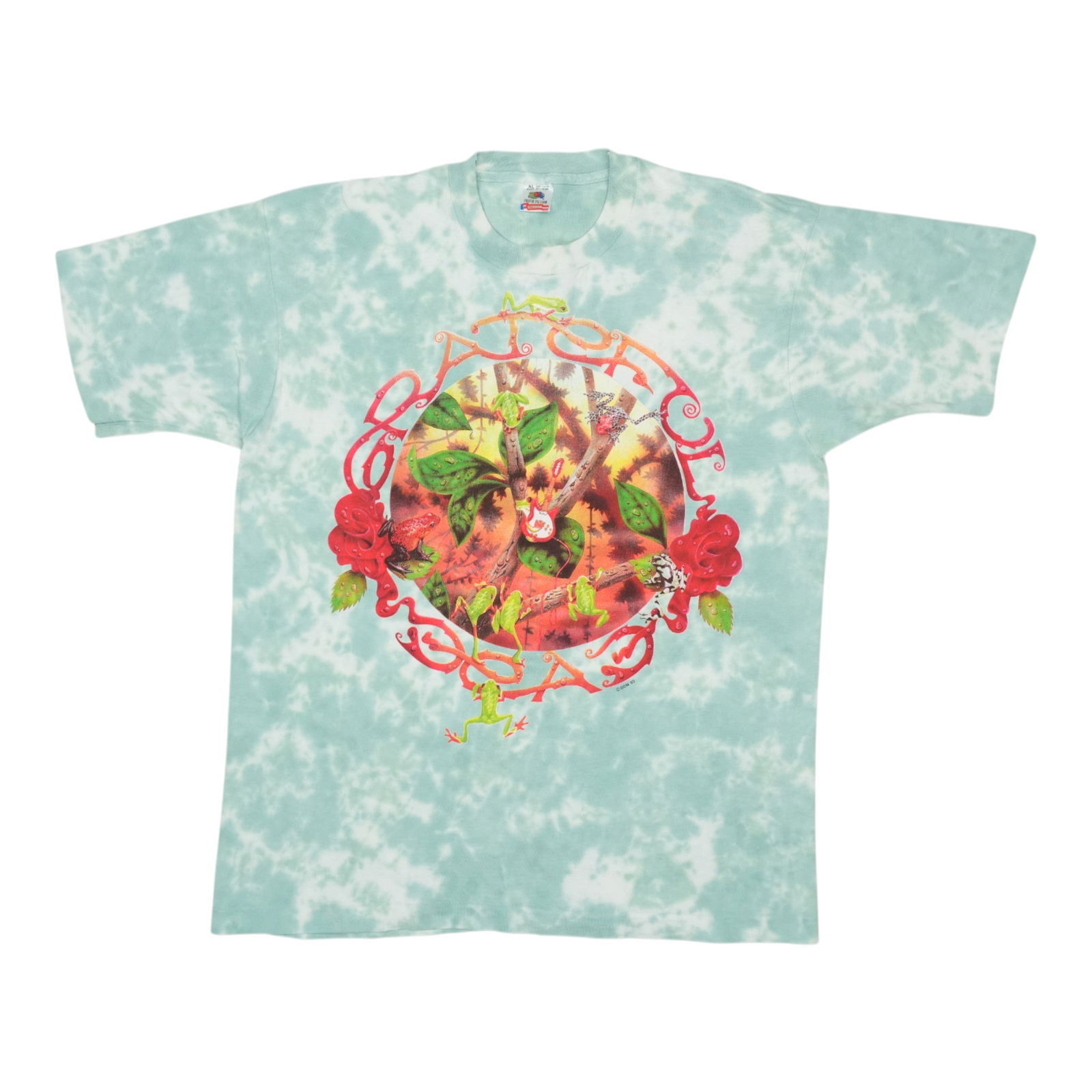 1993 Grateful Dead Tie Dye Fall Tour Vintage Shirt (1 of 6)