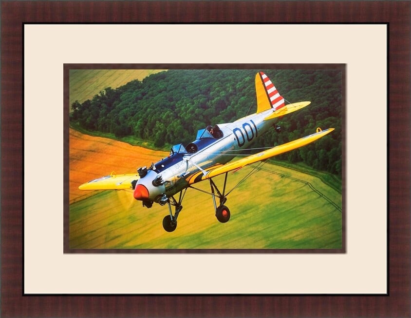 Ryan ST-3KR Recruit Custom Framed Aviation Print 1999 (1 of 2)