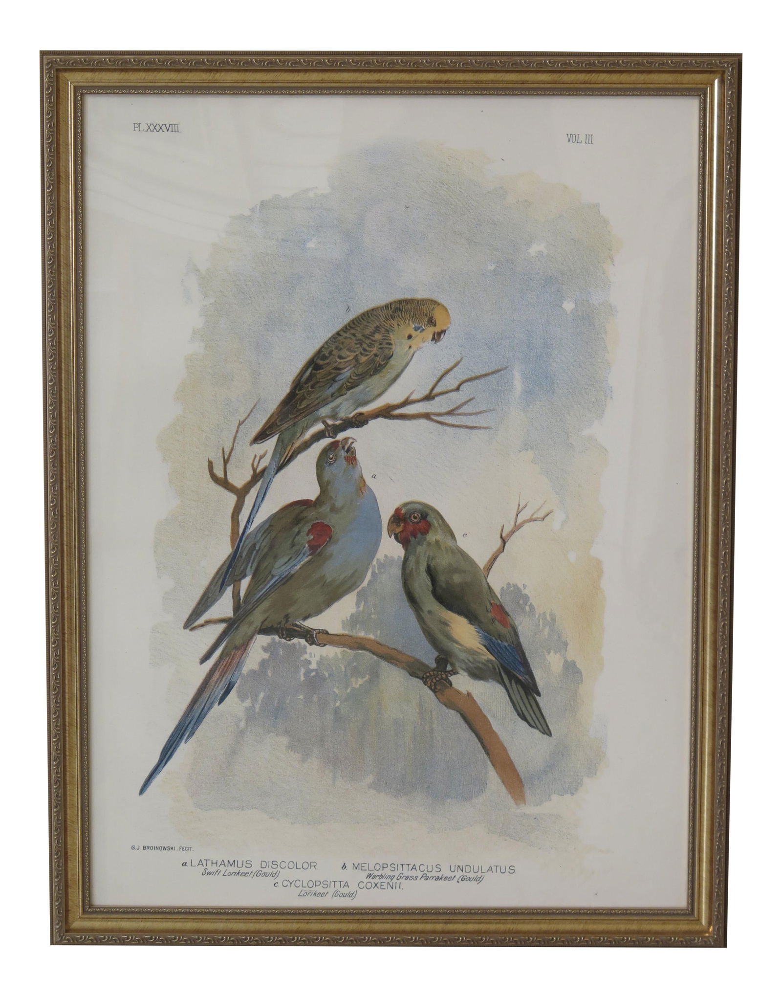 1990s Framed Bird Art in Gold Frame Vintage Decor (1 of 9)