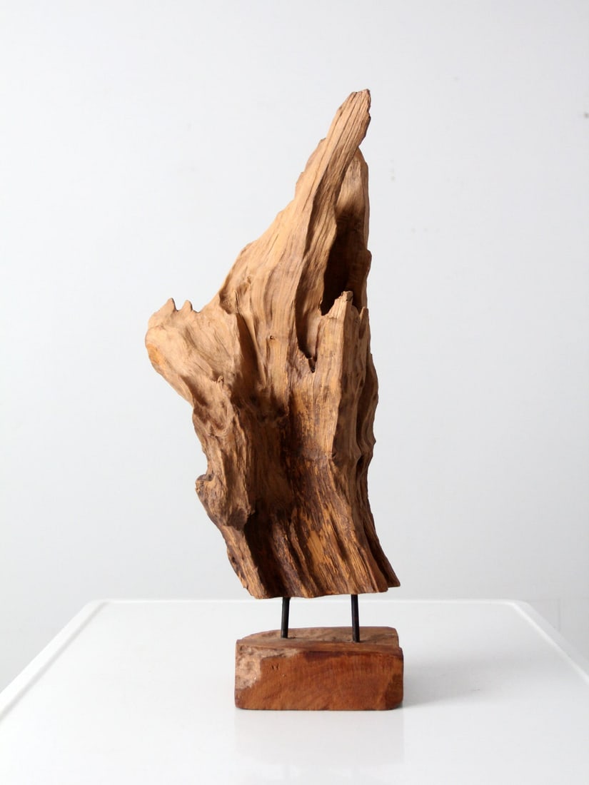 Mid-Century Organic Wood Sculpture with Stand (1 of 13)