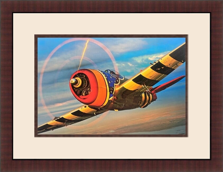 Republic P-47D Thunderbolt Custom Framed Aviation Print (1 of 2)