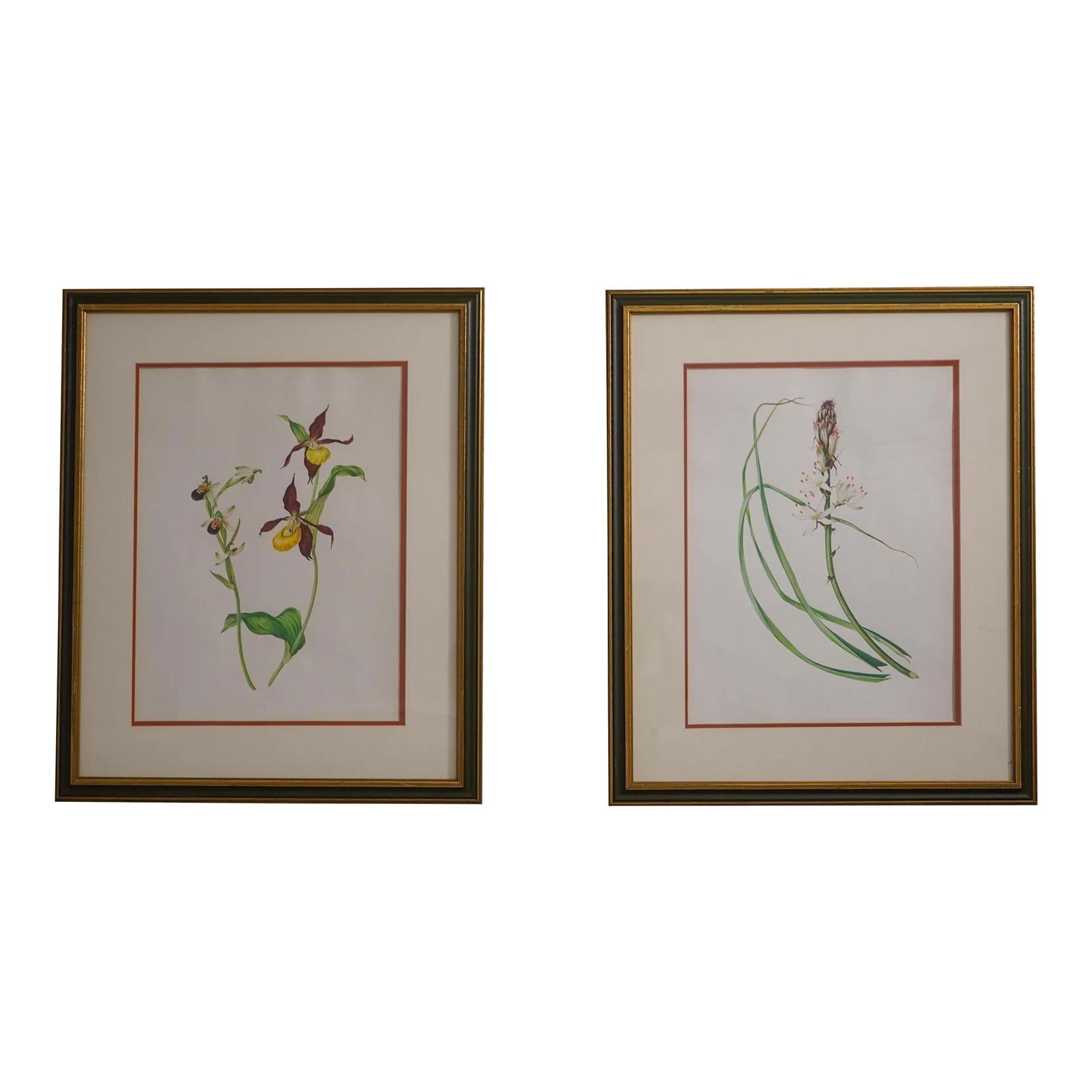 Vintage Botanical Prints in Gold Green Framed Wood 23.5 x 28.5 (1 of 10)