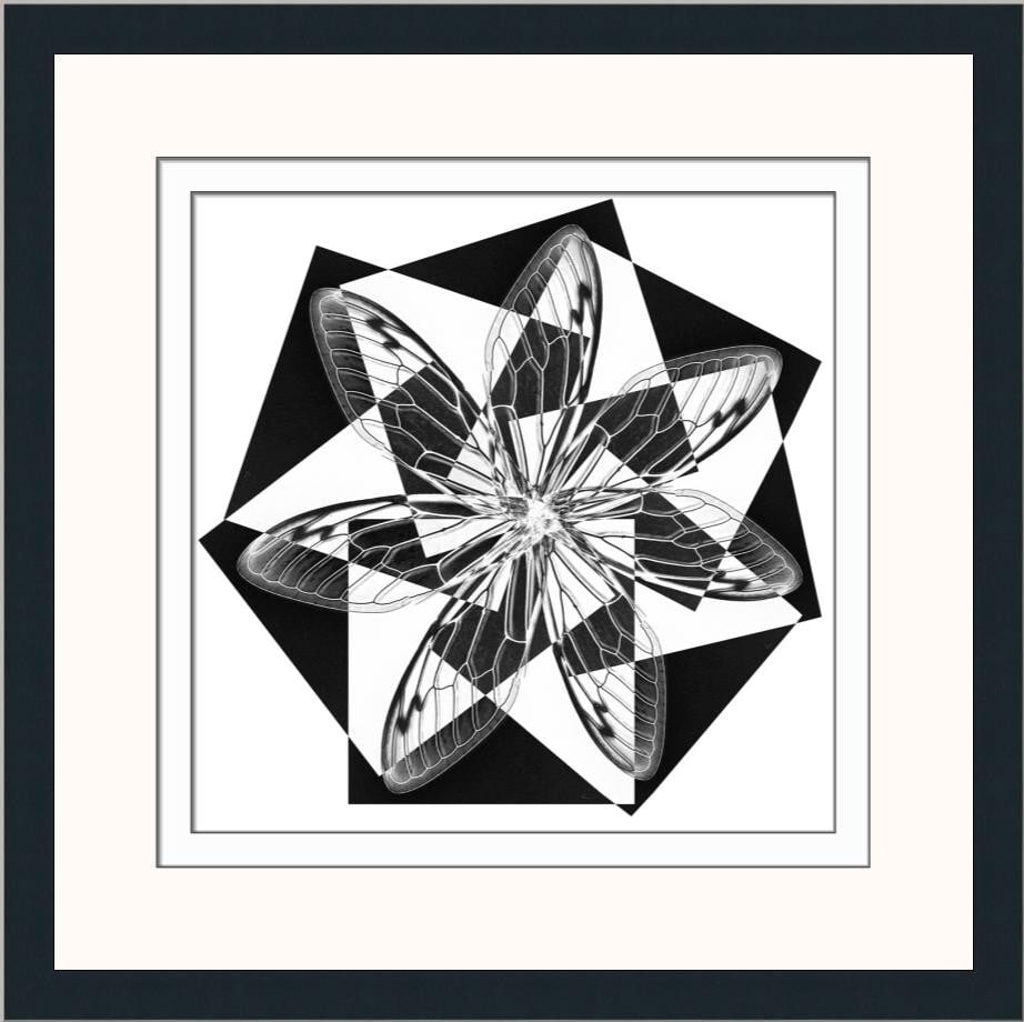 Brent Wickes Limited Edition Signed Giclee Print Black and White Framed (1 of 2)