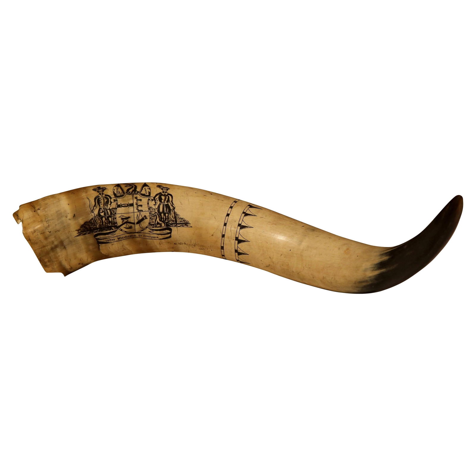 19th Century English Scrimshaw Steer Horn with Armorial Crest: 19th Century English Scrimshaw Steer Horn with Armorial Crest Enhance your office or collection with this exquisite 19th Century English Scrimshaw Steer Horn, featuring a striking black armorial crest