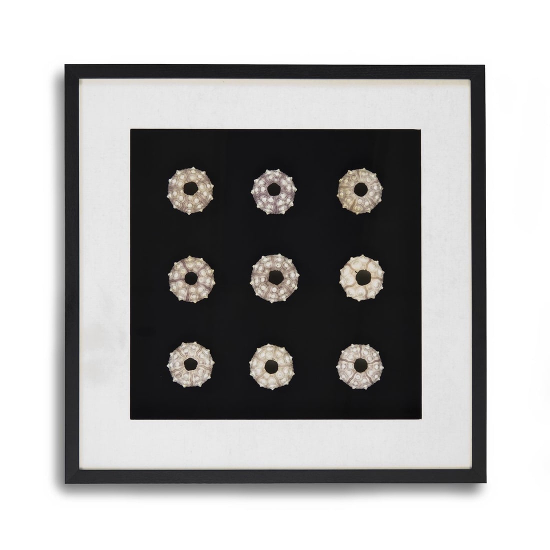 Zentique Abstract Shells Art in Ebony Frame 25.50x25.50 (1 of 3)
