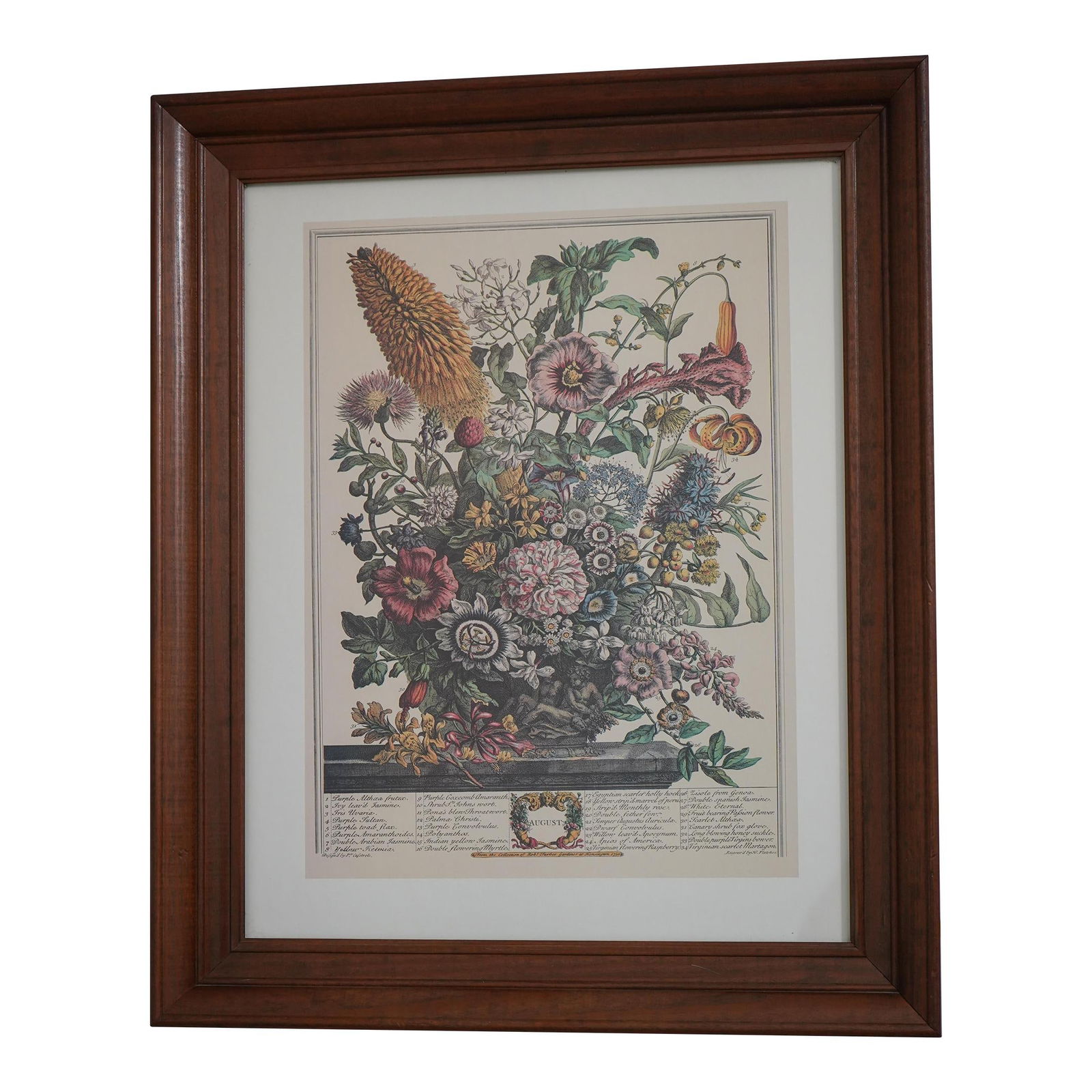 Colonial Williamsburg Cherry Framed Floral Botanical Print 30 Years Old (1 of 9)