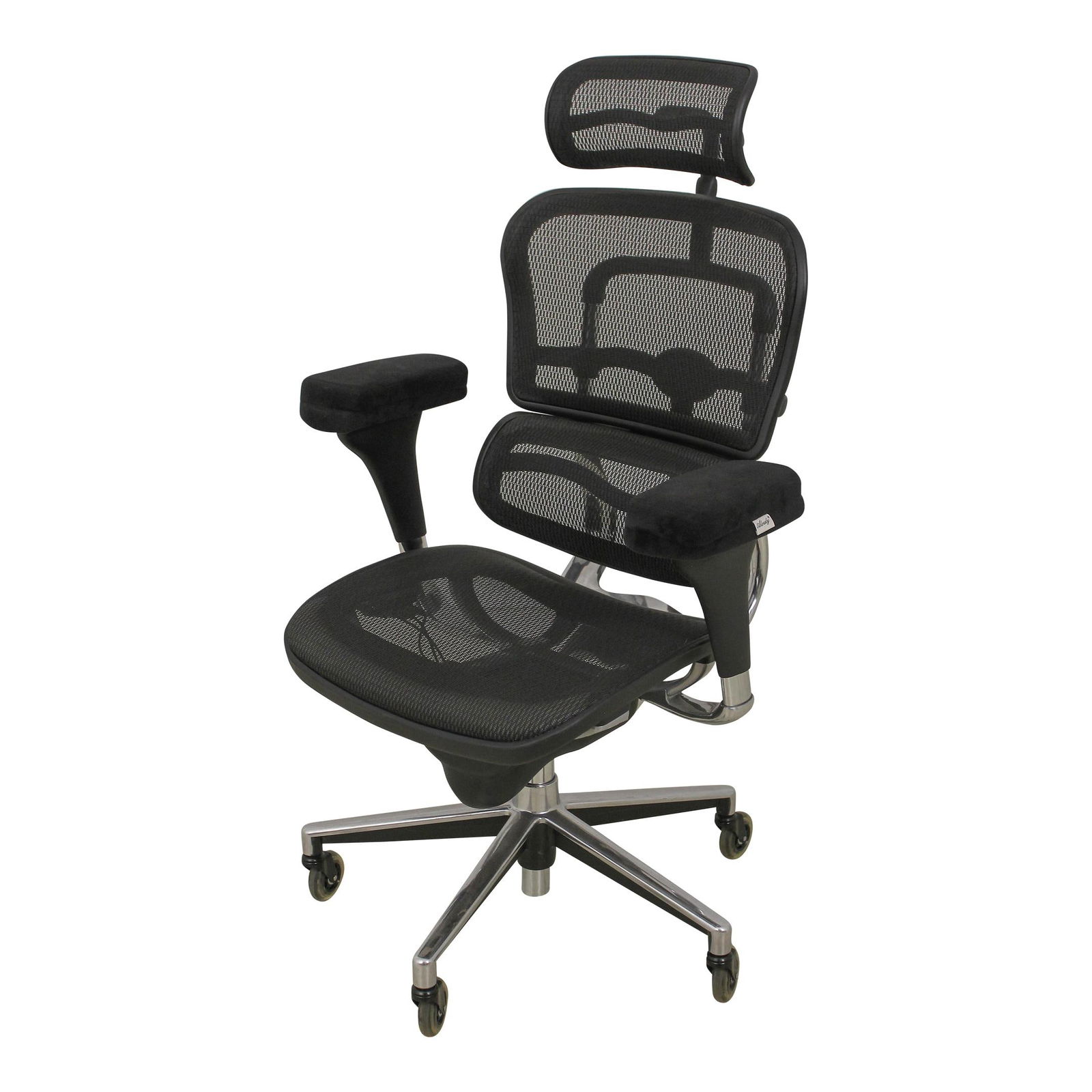 Aloudy Ergonomic ErgoHuman Black Metal Office Chair 20 Years Old (1 of 10)