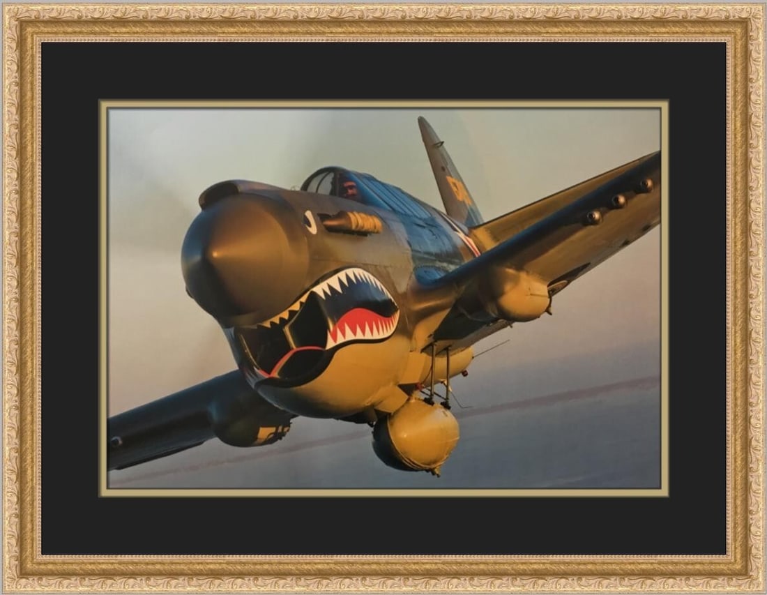 Curtiss P-40E Warhawk Custom Framed Print by Philip Makanna (1 of 2)