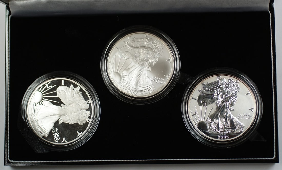 2006 American Silver Eagle 20th Anniversary Coin Set BU Proof Reverse Proof (1 of 5)