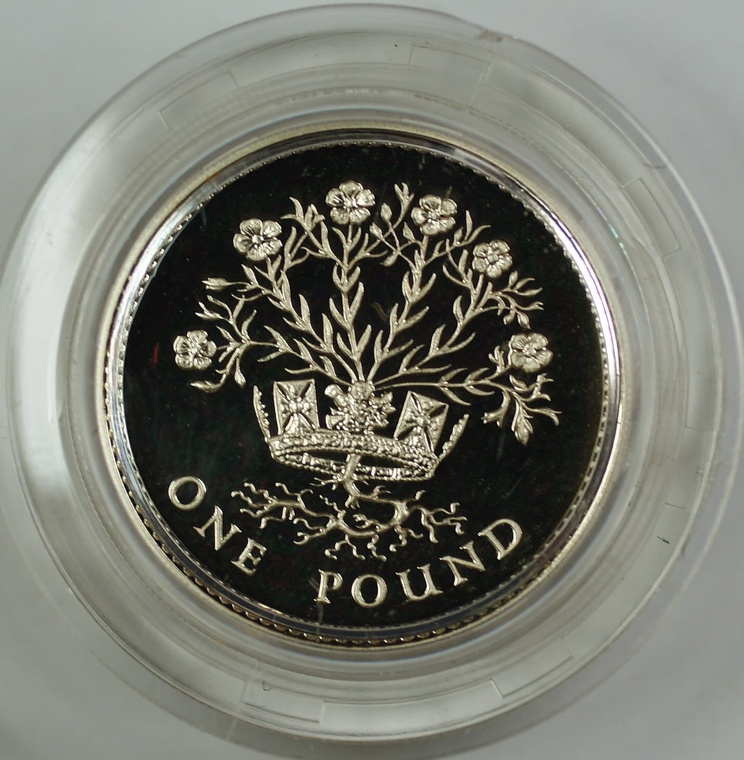 1986 UK Silver Proof Piedfort One Pound Coin Flax Plant with COA (1 of 4)