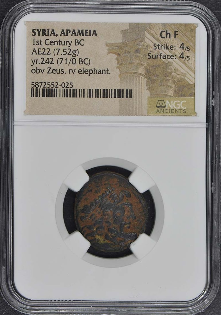 1st Century BC Ancient Roman Coin Apameia Syria NGC F15 (1 of 2)