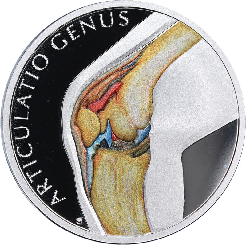 2025 Niue 1oz Silver Knee Joint Proof Coin Uncertified: 2025 Niue 1oz Silver Knee Joint Proof Coin Uncertified This 2025 Niue 1 Ounce Silver coin features a striking design of the Human Body Knee Joint, encapsulating both artistry and precision. Crafted fr