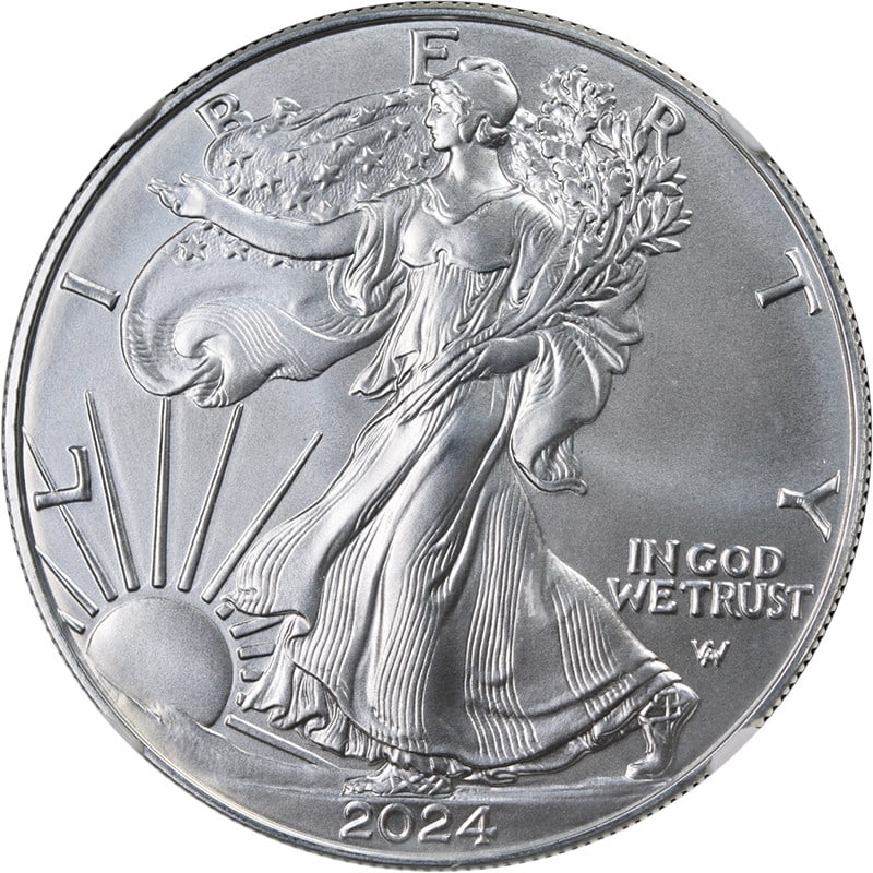 2024 NGC MS70 Silver Eagle Dollar with Brown Label (1 of 4)