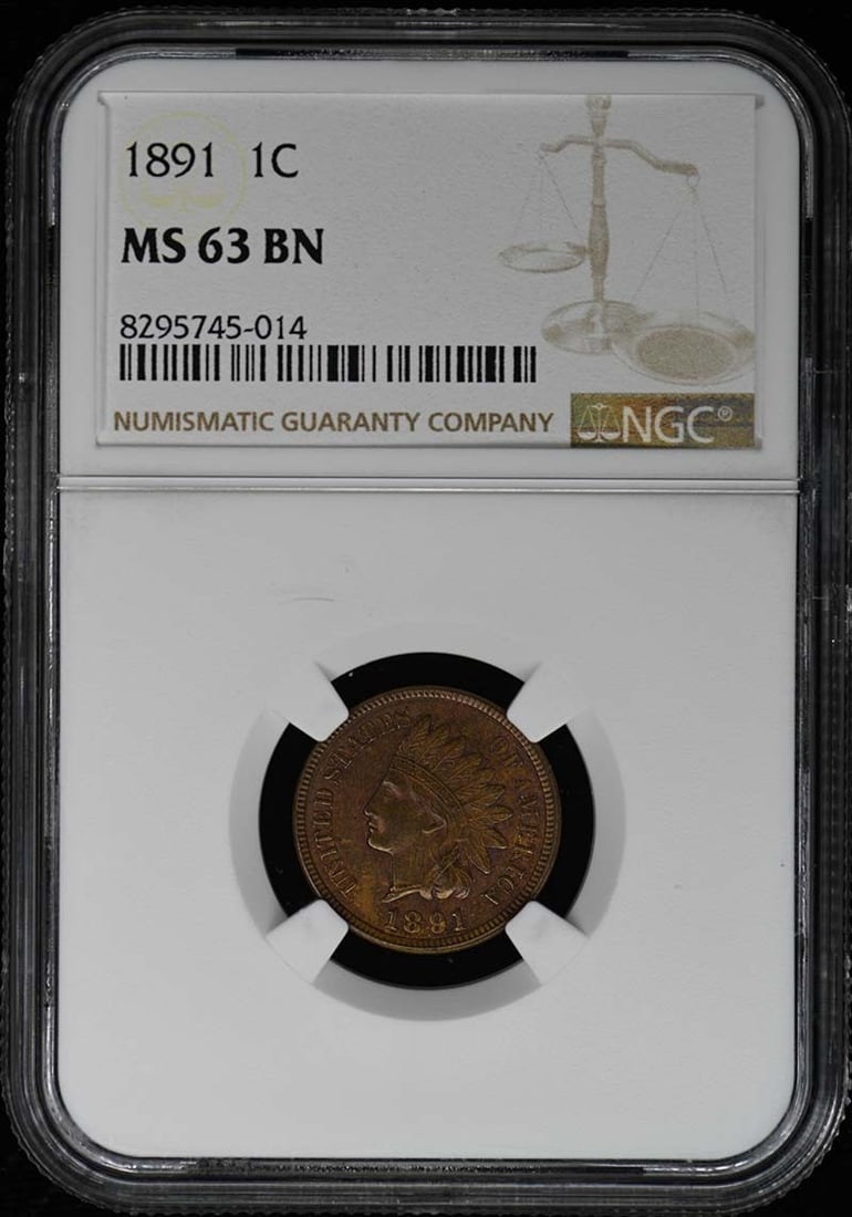 1891 NGC MS63BN Bronze Indian Cent Uncirculated Coin (1 of 2)