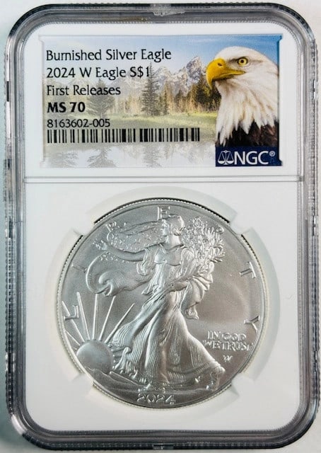 2024 NGC MS70 First Releases Burnished Silver Eagle Coin (1 of 2)