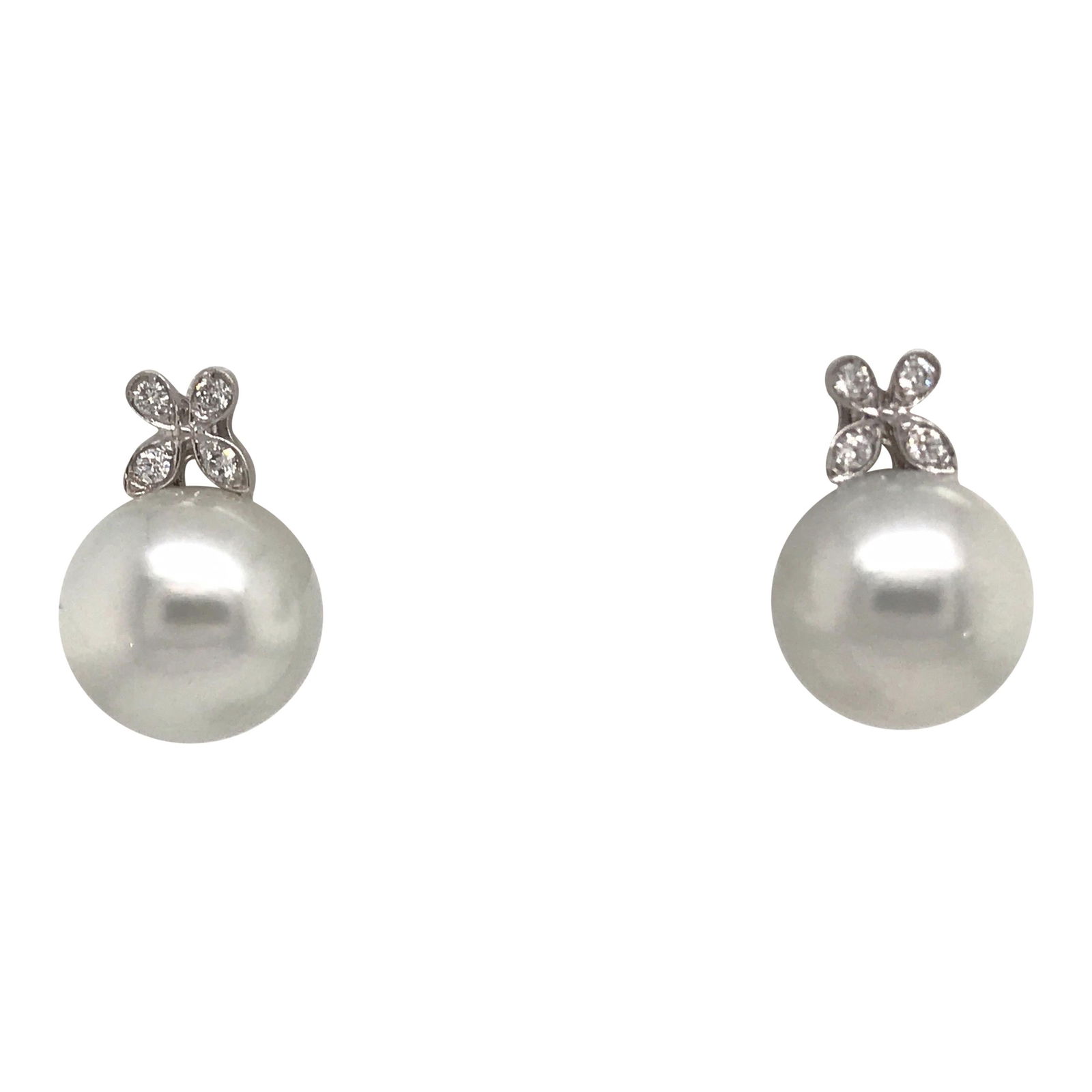 Harbor Diamonds Floral South Sea Pearl Earrings 0.19ct in 18K White Gold (1 of 5)