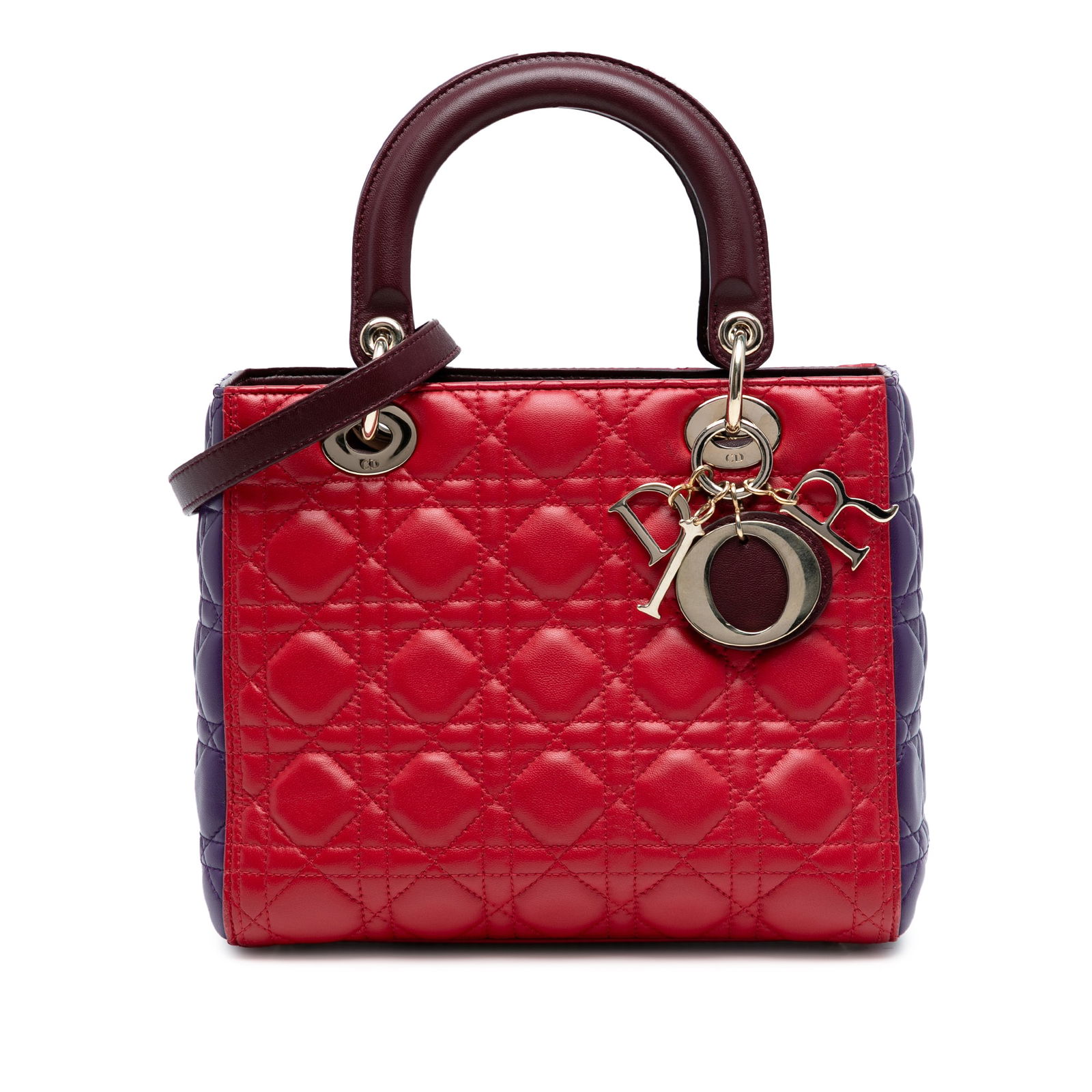 Dior Medium Cannage Lady Dior Tricolor Lambskin Bag (1 of 8)