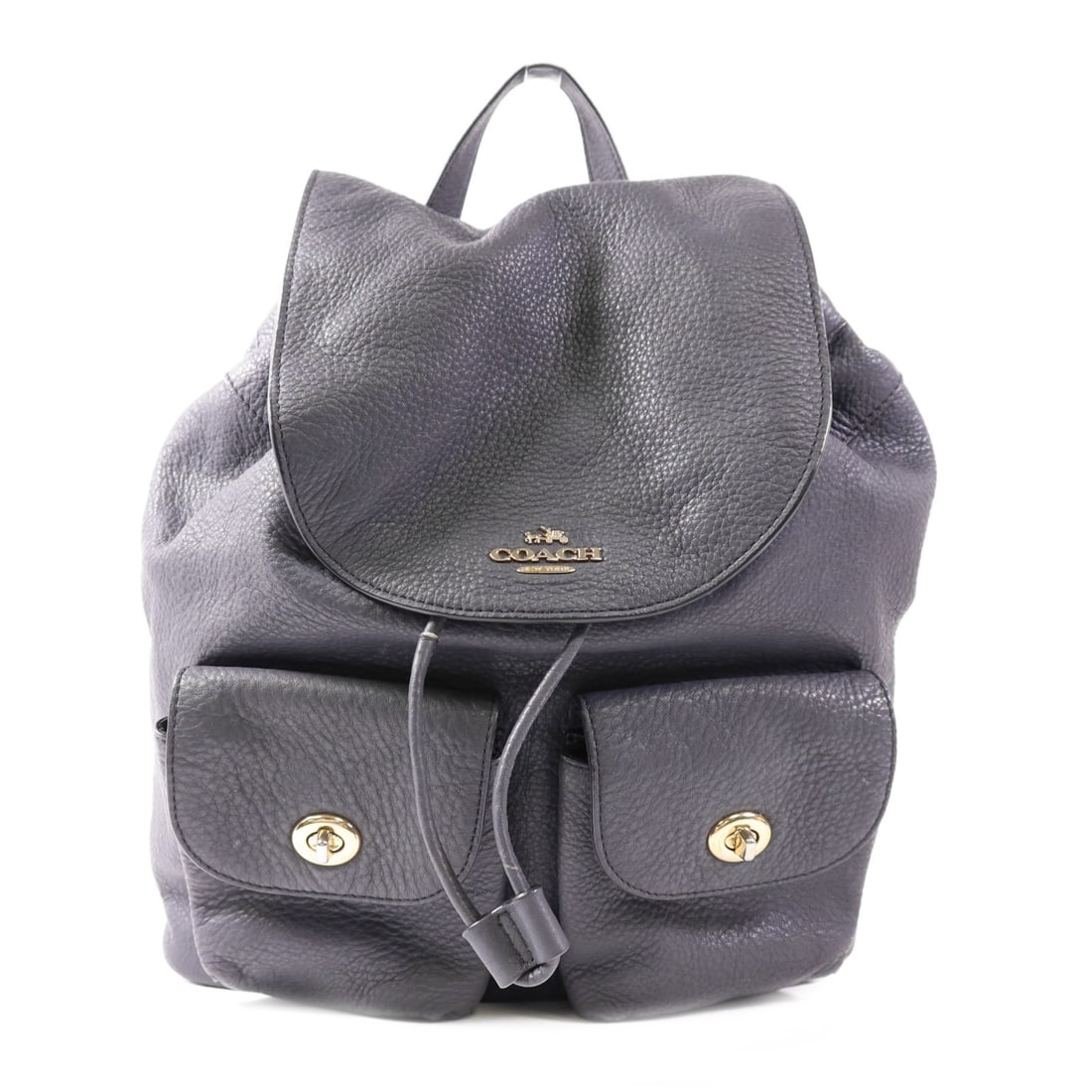 COACH GHW Rucksack Backpack Calfskin Leather Gray F37410 (1 of 14)