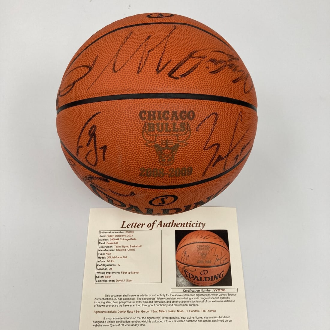 2008-09 Chicago Bulls Signed NBA Basketball with JSA COA (1 of 13)