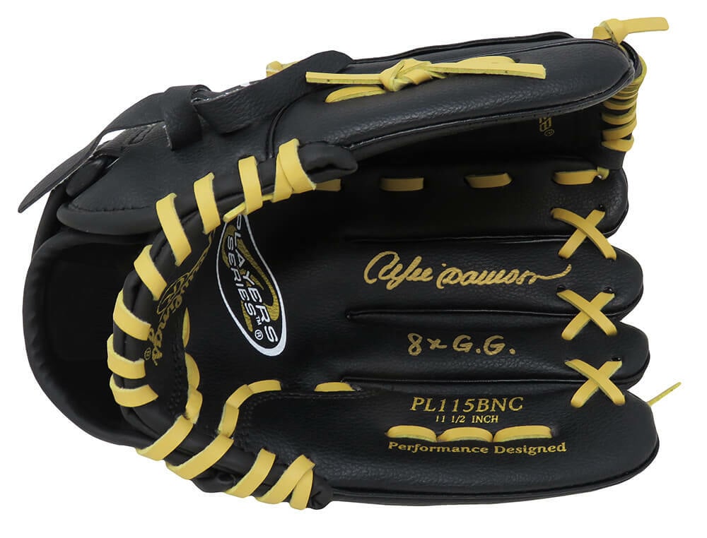 Andre Dawson Signed Rawlings Black Glove 8x GG with COA (1 of 1)