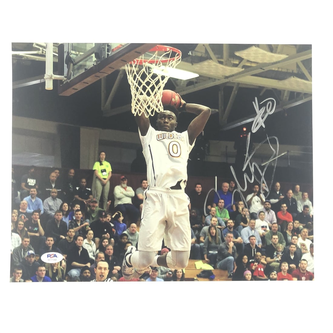 Jaylen Brown Autographed 11x14 Photo PSA/DNA Celtics Cal Bears: Jaylen Brown Autographed 11x14 Photo PSA/DNA Celtics Cal Bears This is a professionally printed 11x14 photograph featuring Jaylen Brown, a prominent player for the Boston Celtics and former California
