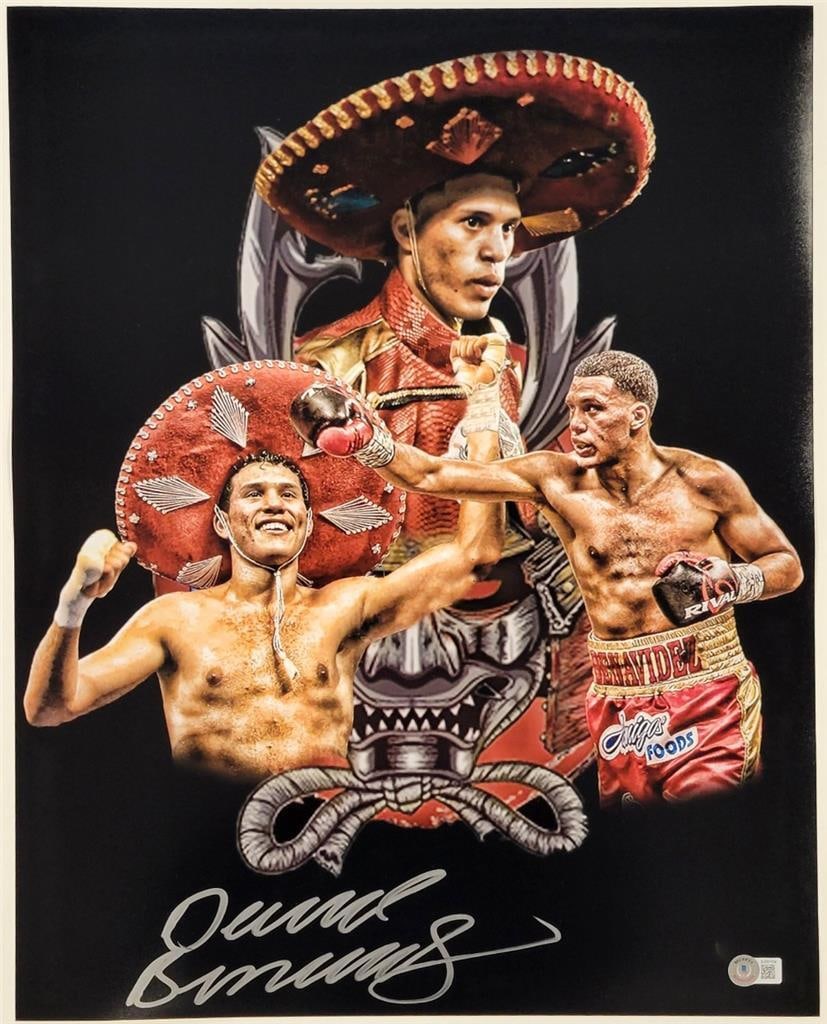 David Benavidez Signed 16x20 Boxing Photo Beckett BAS Authenticated: David Benavidez Signed 16x20 Boxing Photo Beckett BAS Authenticated This is an original 16x20 photograph of professional boxer David Benavidez, featuring his authentic signature. The photo has been ce