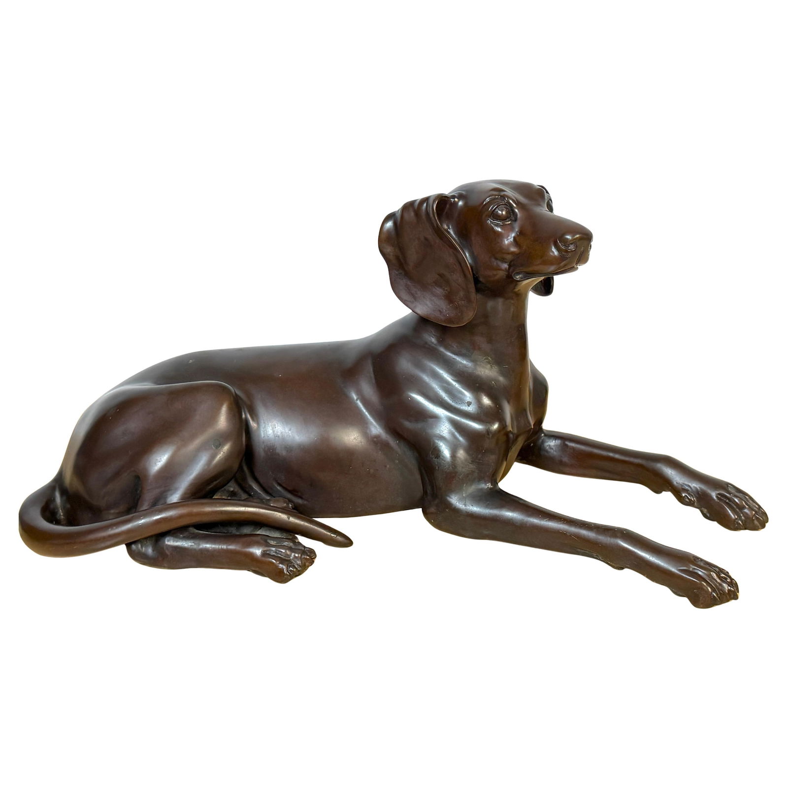20th Century French Bronze Sculpture Recumbent Hunting Dog: 20th Century French Bronze Sculpture Recumbent Hunting Dog This exquisite 20th-century French School bronze sculpture features a recumbent hunting dog, showcasing remarkable realism and expert artistr