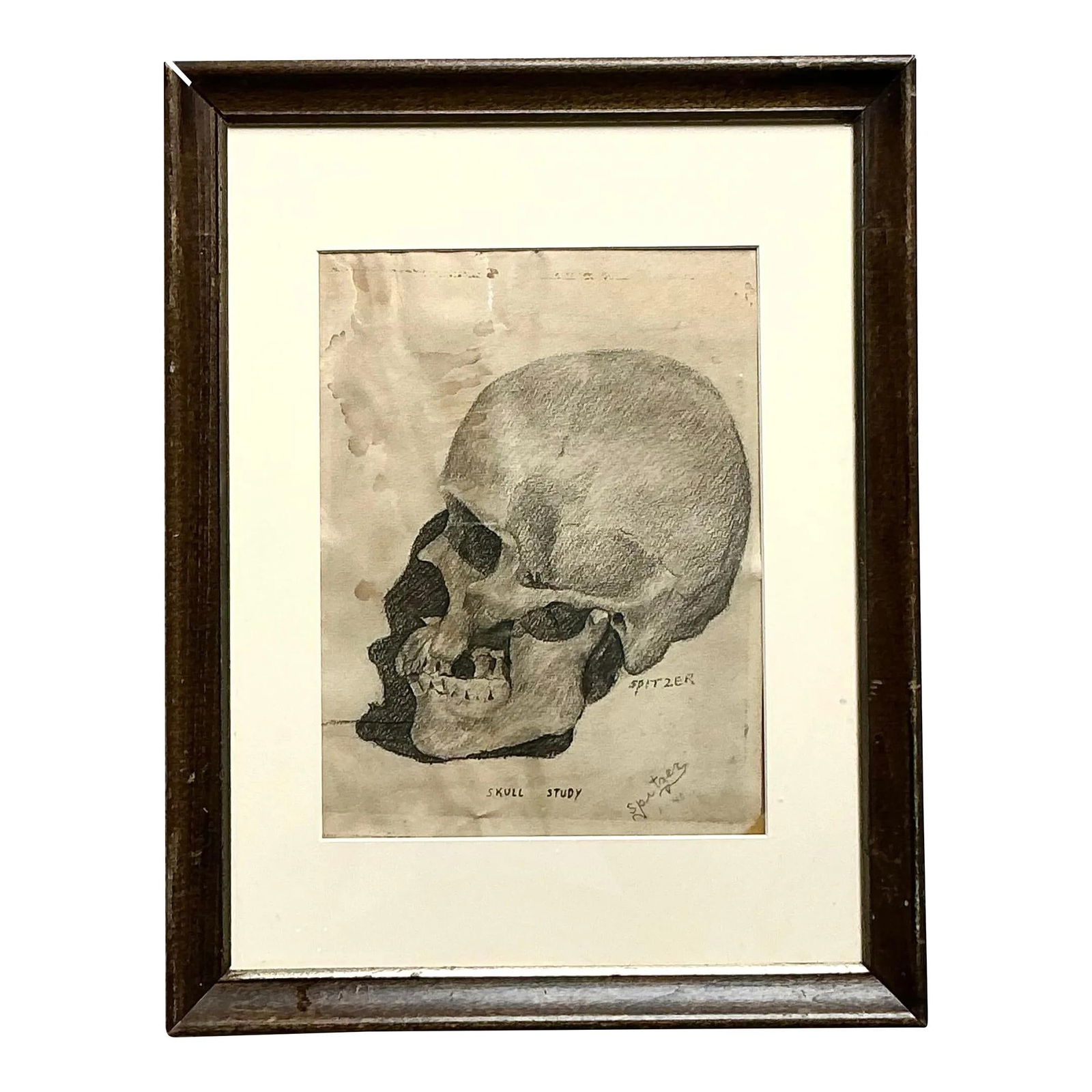 Vintage Boho Skull Pencil Sketch Art 14 x 18 in Ecru: Vintage Boho Skull Pencil Sketch Art 14 x 18 in Ecru Enhance your living space with this Vintage Boho Original Pencil Sketch of a Skull. This unique artwork features intricate details created with fin