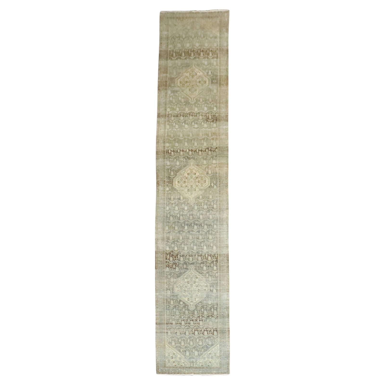 Antique Persian Malayer Runner Gray Green Wool Hand-Woven 43 x 240 in: Antique Persian Malayer Runner Gray Green Wool Hand-Woven 43 x 240 in Discover the timeless elegance of this early 20th-century Persian Malayer runner, meticulously hand-woven from high-quality wool.