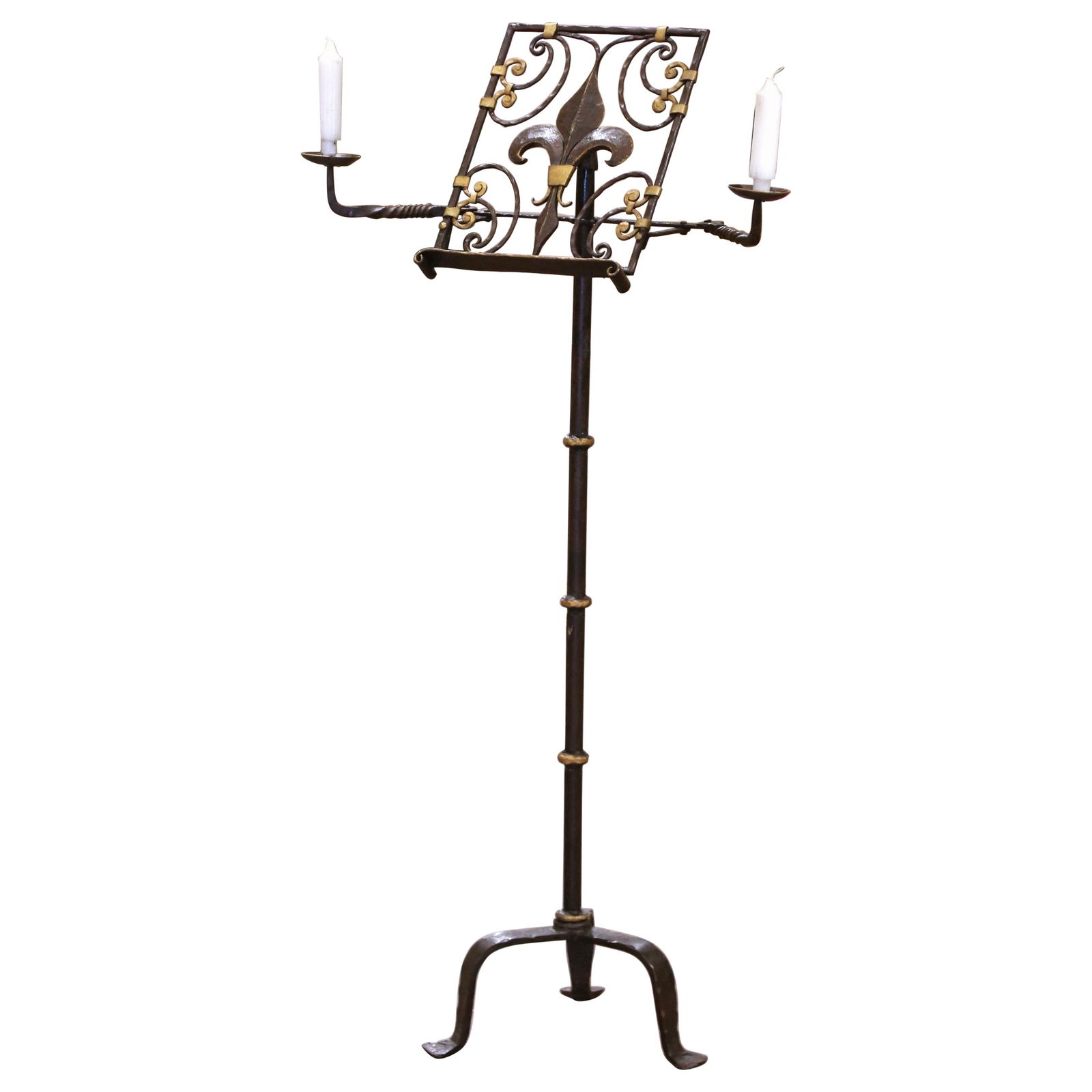 19th Century French Gothic Wrought Iron Music Stand with Fleur-de-Lys (1 of 12)