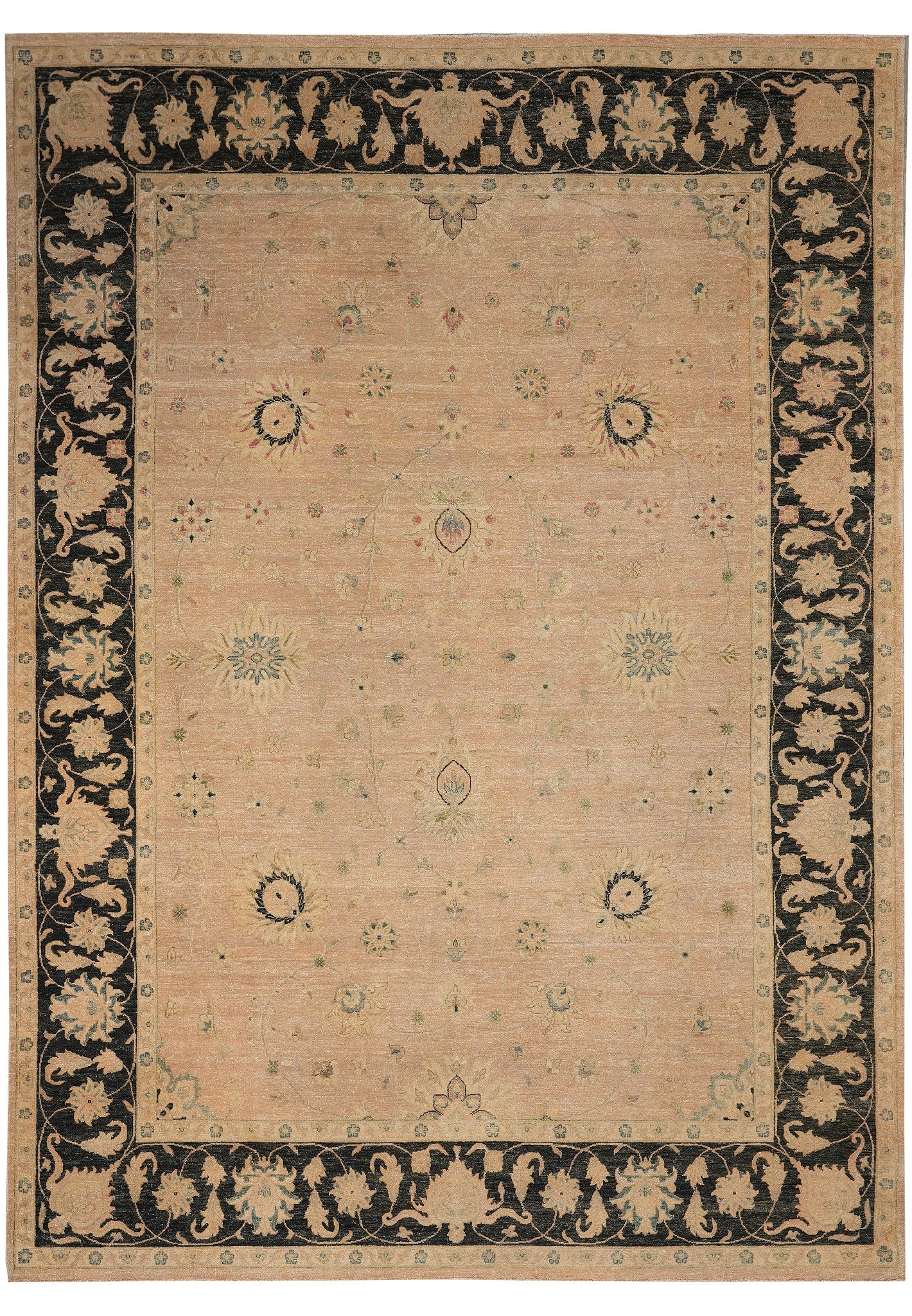Handmade Agra Rug 8.8 x 11.8 Transitional Tan Black: Handmade Agra Rug 8.8 x 11.8 Transitional Tan Black Free continental US Shipping Enhance your living space with this beautiful quality handmade Agra rug, measuring 8.8 x 11.8 feet. This transitional d