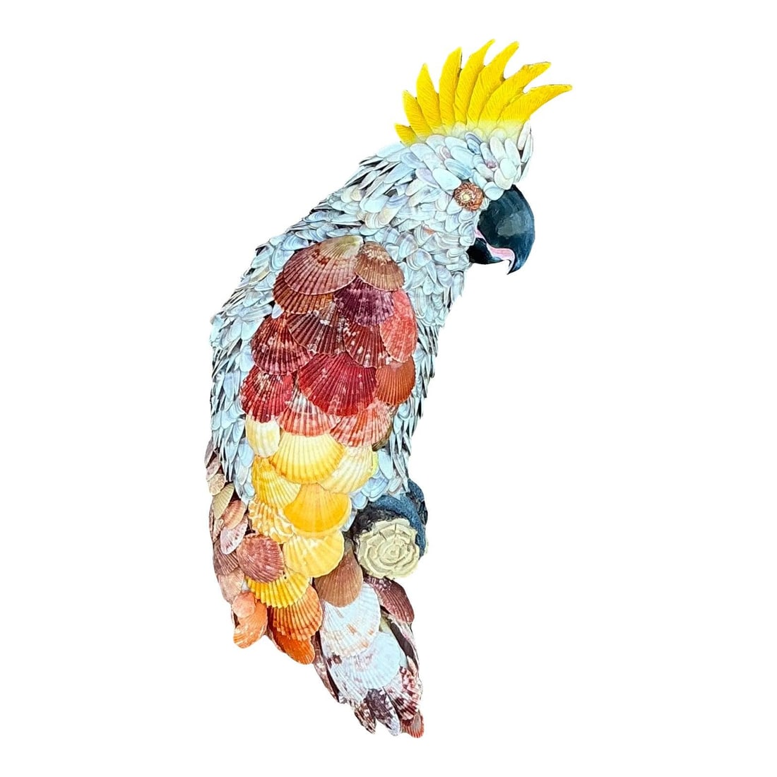Decorative Cockatoo Sculpture with Real Seashell Accents Coastal Vintage Art: Decorative Cockatoo Sculpture with Real Seashell Accents Coastal Vintage Art This vintage coastal cockatoo sculpture is encrusted with real seashells in vibrant colors, showcasing detailed craftsmansh