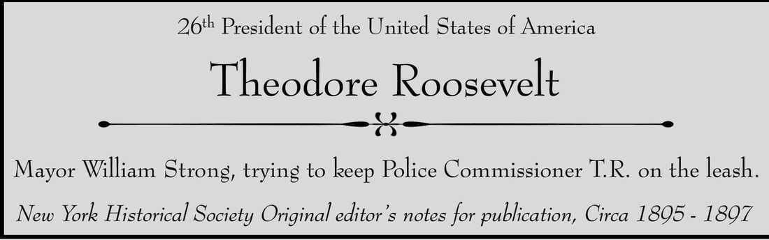 Theodore Roosevelt 1902 Original Publication Proofs with Editor Notes Framed (1 of 6)
