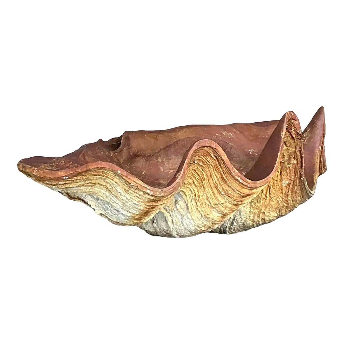 Vintage Monumental Gigas Resin Clam Shell 22.25 x 13.25 x 7 Alabaster (1 of 6)