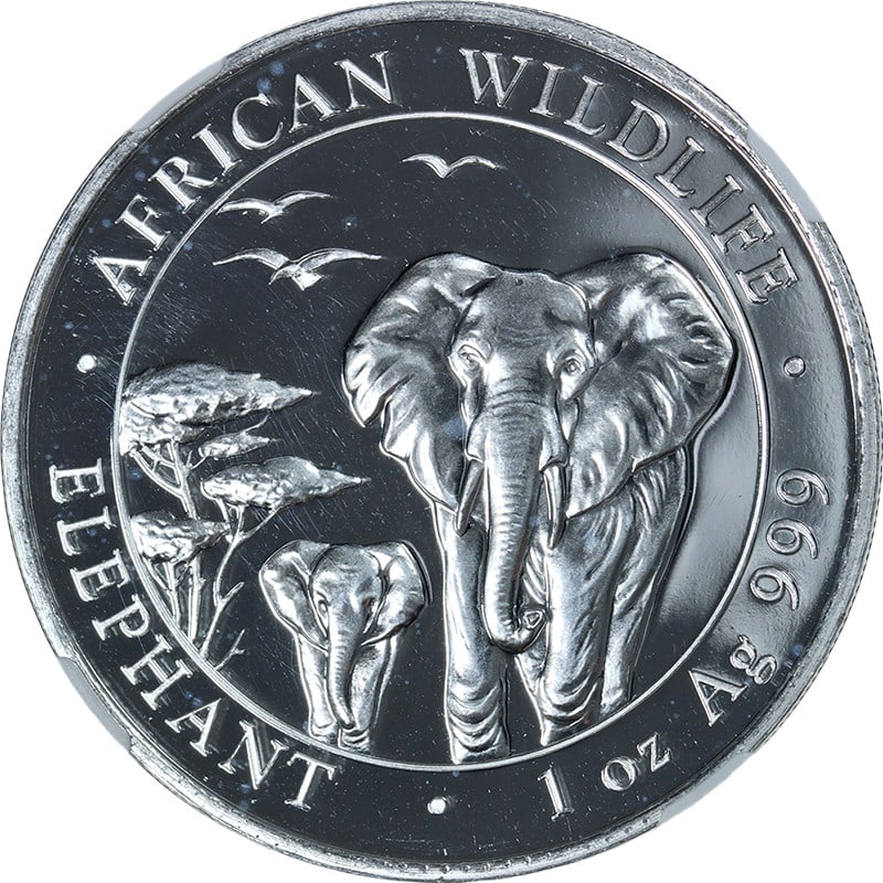 NGC MS69 Somalia 2015 Silver 100 Shillings Elephant 1oz Coin: NGC MS69 Somalia 2015 Silver 100 Shillings Elephant 1oz Coin This 2015 Somalia 1oz Silver 100 Shillings American Wildlife Elephant coin is certified by NGC with a grade of MS69. Struck from 0.999 fine